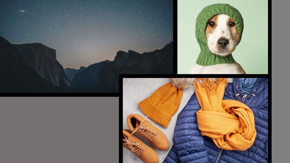 Cada um com seu cada qual, #diferenças. Foto com um cachorrinho de touca, roupas de frio femininas e montanhas à noite.
