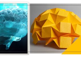 Dois cérebros lado a lado. Um é azul, desenhado com perfeição. O outro é amarelo, feito de dobradura de papel.