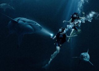 Medo Profundo repete fórmula que Spielberg criou para o terror. Filme de tubarão tem roteiro pobre, mas consegue entreter.