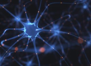 Autismo, parkinson e processamento sensorial - imagem de um neurônio