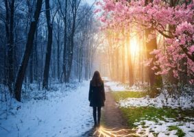 Sem lágrimas para o Ano Novo, O Inverno que Prepara a Primavera, O Olhar no Horizonte e A Riqueza que Realmente Importa.